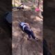 FAILS Of The Week