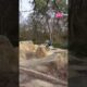 FAILS Of The Week