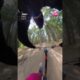 FAILS Of The Week