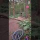 FAILS Of The Week