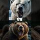 Animal Fights