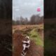 FAILS Of The Week