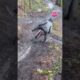 FAILS Of The Week