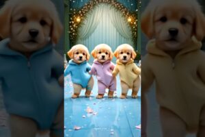 Cute Puppies Crazy Dance 😆| #funnyanimals #cutepuppy #dogshorts #funnyvideo #viraldance #0519