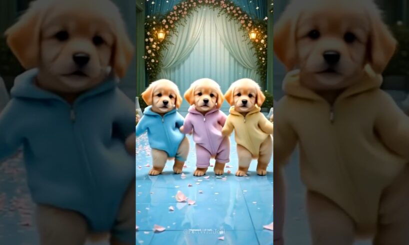 Cute Puppies Crazy Dance 😆| #funnyanimals #cutepuppy #dogshorts #funnyvideo #viraldance #0519