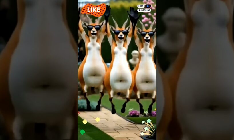 Cute puppies funny dance 😃| #funnyvideo #funnydogs #cutepuppy #viralshorts #trending #487