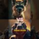 4 Epic Animal Fights – Who Wins? 🐾💥 #4 Is Brutal!