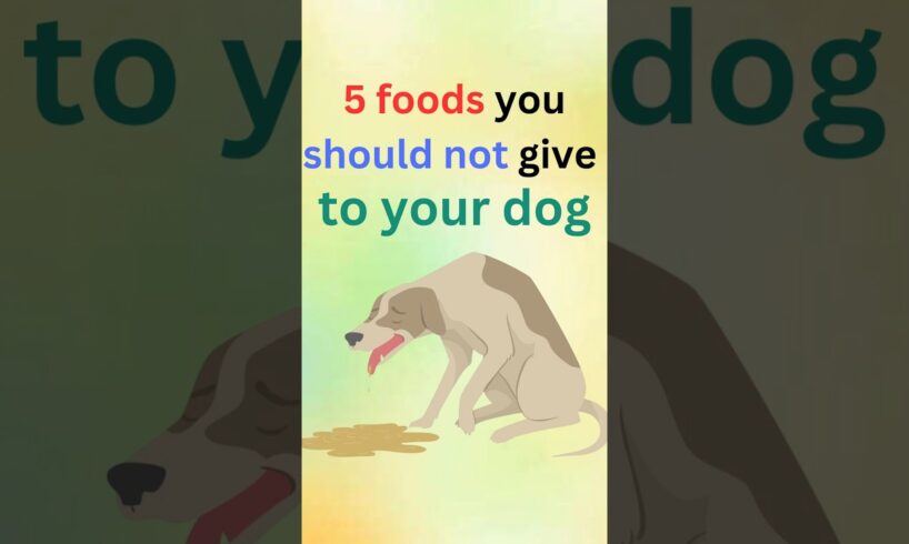 5 foods you should not give to your dog #dogs #dog  #shorts