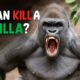 6 Animals That Could Defeat A Gorilla
