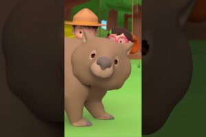 ARE YOU SURE THESE ARE CHOCOLATES?! 🍫 | Leo the Wildlife Ranger | #shorts #animals #fun