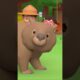 ARE YOU SURE THESE ARE CHOCOLATES?! 🍫 | Leo the Wildlife Ranger | #shorts #animals #fun