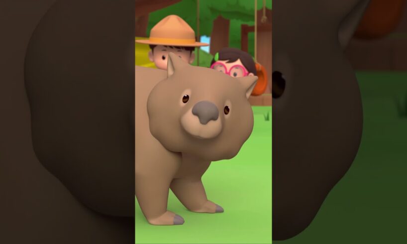 ARE YOU SURE THESE ARE CHOCOLATES?! 🍫 | Leo the Wildlife Ranger | #shorts #animals #fun