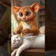 Adorable Loris Rescues a White Cat! 🐱 Cute & Funny Animal Moments