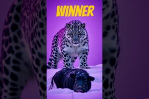 Ai animal fights  #ai  #newchannel   #newvideo   #viralshort  #fight  #blowthisaccountup  #original
