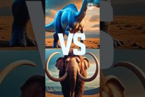 Animal fights|Which animal is strong?#fight #animals #youtubeshorts #reality #realitycheck #funny