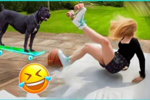 Best fails of the week 😂Fails #105 - People Being Idiots | 🤣 Try Not to Laugh - By Comedy Craze