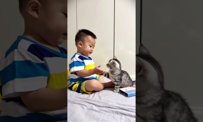 Best friends playing! 🥰 Little kitty is looking after the baby!