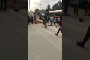 Black Girl Fighting In A Bus Stop