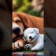 Brave Dog Rescues Puppy from cage.| Emotional Animal Rescue #shorts #shortsfeed #shortsviral