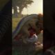 Brave Male Lion Battles Giant Python to Defend His Pride | Epic Animal Fight