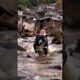 Brave dog successfully rescues baby