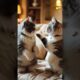 CUTE PUPPIES #cat #youareoneofakind #petlover #peacetalks