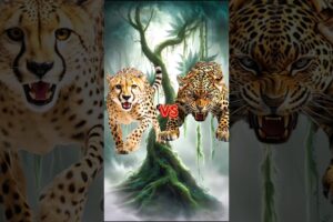 Cheetah vs Animals and Jurassic World #animalbattle #jaguar