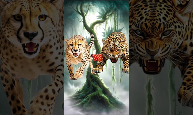 Cheetah vs Animals and Jurassic World #animalbattle #jaguar