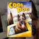 Cool Dog