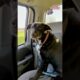 Couple Rescues Stray Dog From Field