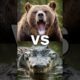 Crazy Animal Fighting Tournament! (Lion, Crocodile, Hippo, Bear)