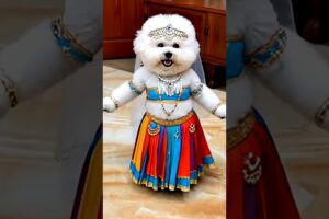 Cute Puppies Crazy Dance 😆| #funnyanimals #cutepuppy #cartoon #funnyvideo #viraldance #543