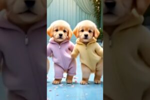 Cute Puppies Crazy Dance 😆| #funnyanimals #cutepuppy #dogshorts #funnyvideo #viraldance #540