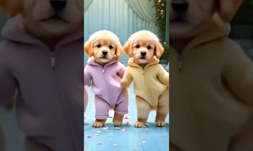 Cute Puppies Crazy Dance 😆| #funnyanimals #cutepuppy #dogshorts #funnyvideo #viraldance #540