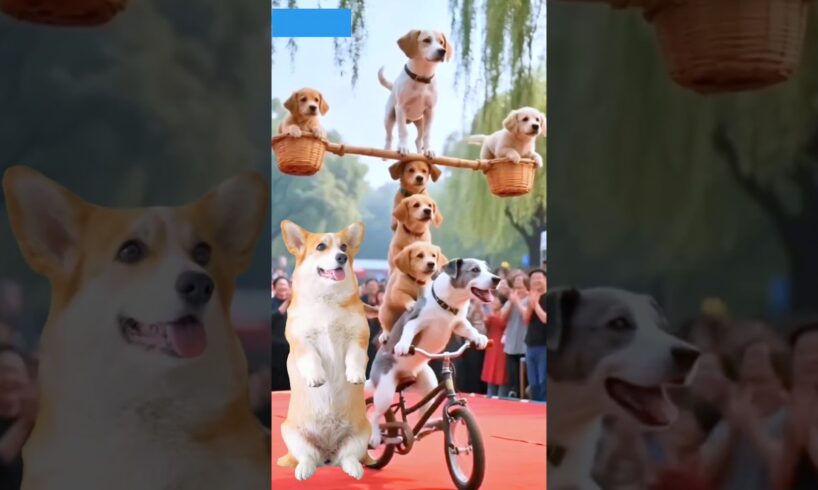 Cute Puppies Dancing 🐶 #puppies #puppydance