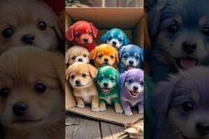 Cute Puppies 🐶 #dog #cute #cuteanimal #pets #ai #edit #grow #cutepuppy
