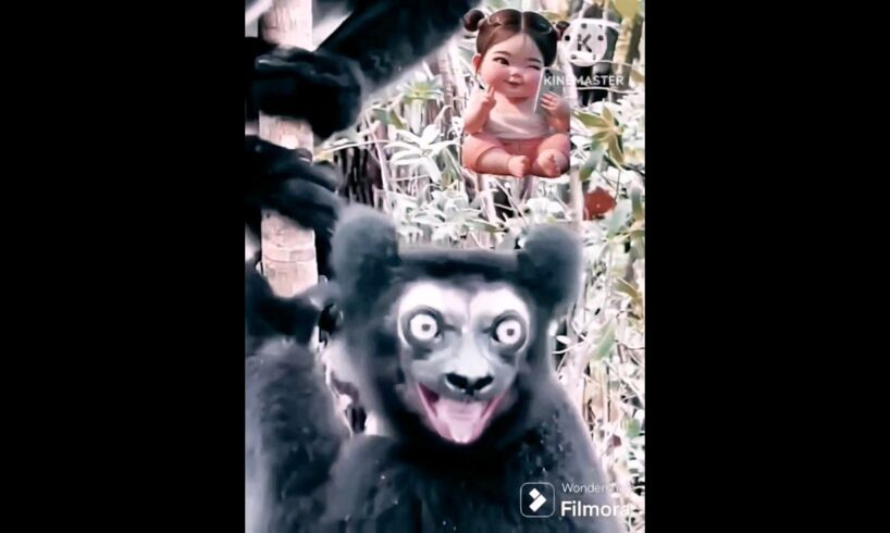 Cute #and funny #animals playing# and having #fun##🤣🤣🤣