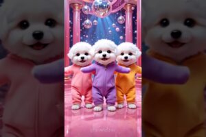 Cute puppies crazy dancing💃😆| #funnyanimals #cutepuppy #funnyvideo #catvideos #viraldance #541