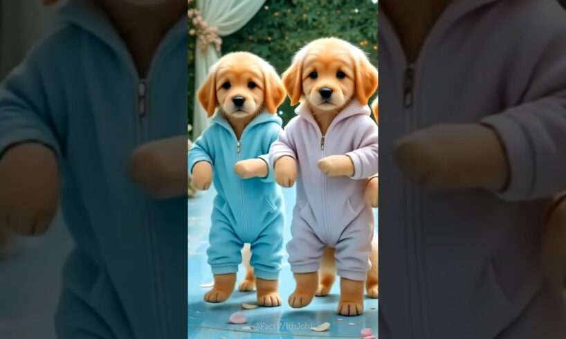 Cute puppies crazy dancing💃| #funnyanimals #cutepuppy #funnyvideo #dogshorts #viraldance #518