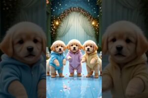 Cute puppies funny dance 😃| #funnyvideo #funnydogs #cutepuppy #viralshorts #trending #487