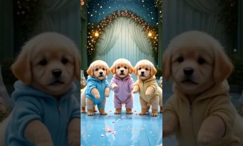Cute puppies funny dance 😃| #funnyvideo #funnydogs #cutepuppy #viralshorts #trending #487