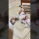 Cute puppies 🐶 love#youtube #funny #trending #pets #ytshorts #love #shihtzu #cute #petlover