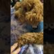 Cute puppies 🐶 😍#puppy #fun #post #reels #trending