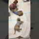 Cute puppies #puppytherapy #puppylove #puppymoments #extreme joy#relaxing