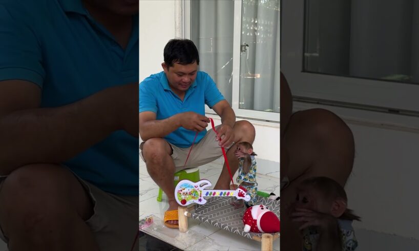 Dad teaches Kyo to play guitar 2 #kyo #babymonkey #funny