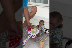 Dad teaches Kyo to play guitar  #kyo #babymonkey #cute