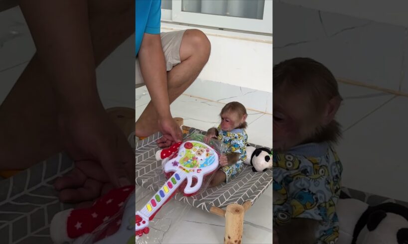 Dad teaches Kyo to play guitar #kyo #babymonkey #cute