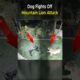Dog Fights Off Mountain Lion Attack