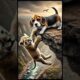 Dog Rescues Lion Cub, Then Lion Family Returns the Favor!