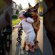 Dog Saves Crippled Baby From Car Accident - Heroic Rescue!